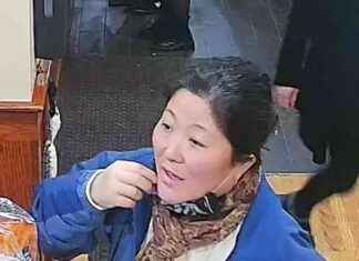 Woman Steals Purse from Brighton Toy Drive: Police Report & Details woman-steals-purse-from-brighton-toy-drive-police-report-details