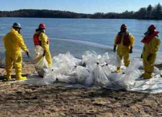 Avian Flu Outbreak: Suspected Cause of Bird Deaths in Plymouth avian-flu-outbreak-suspected-cause-of-bird-deaths-in-plymouth
