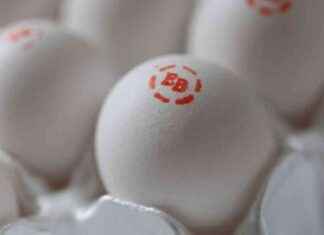 Bird Flu Spreading Across Massachusetts, Health Officials Warn bird-flu-spreading-across-massachusetts-health-officials-warn