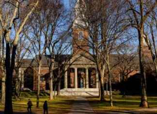 Harvard University’s Outsourcing of Slavery Remembrance Program Sparks Layoffs and Controversy harvard-universitys-outsourcing-of-slavery-remembrance-program-sparks-layoffs-and-controversy