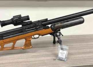 Man in Cape Charged for Shooting at Tree Workers man-in-cape-charged-for-shooting-at-tree-workers