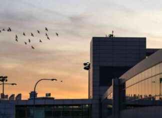 Investigation underway for Death on Air France Flight to Logan Airport nvestigation-underway-for-death-on-air-france-flight-to-logan-airport