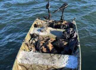 Teen Saves Duck Hunter’s Life in Massachusetts Water Rescue teen-saves-duck-hunters-life-in-massachusetts-water-rescue