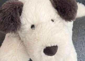 Efforts to Reunite Lost Stuffed Puppy with Owner efforts-to-reunite-lost-stuffed-puppy-with-owner