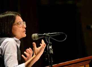 Local Democrats React to Trump Blaming DEI for Plane Crash local-democrats-react-to-trump-blaming-de-for-plane-crash