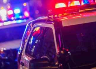 Quincy Animal Control Officer Hospitalized After Dog Attack quincy-animal-control-officer-hospitalized-after-dog-attack