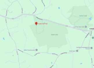 Search for Owner of Dog in Carlisle Involved in Fatal Attack search-for-owner-of-dog-in-carlisle-nvolved-in-fatal-attack