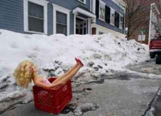 Snowmageddon Parking Tickets Sparked Priceless Romance snowmageddon-parking-tickets-sparked-priceless-romance