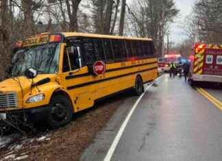 School Bus Driver In Medical Emergency Crashes Into Trees school-bus-driver-n-medical-emergency-crashes-nto-trees