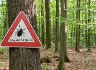 Ticks Linked to Bacterial Infections & Meat Allergies in New England ticks-linked-to-bacterial-nfections-meat-allergies-in-new-england