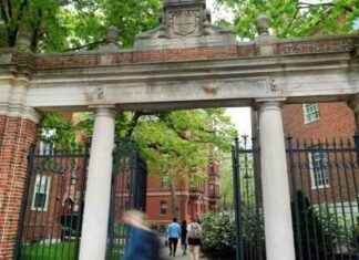 How 1,400 Readers Reacted to Trump’s Attempt to Block Harvard’s International Students how-1400-readers-reacted-to-trumps-attempt-to-block-harvards-nternational-students