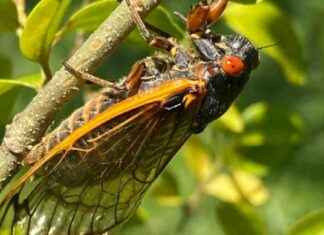 Test your knowledge of Greater Boston’s local news with our weekly quiz. test-your-knowledge-of-greater-bostons-local-news-with-our-weekly-quiz