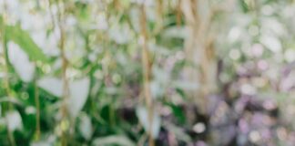 Duxbury Window Designs: Stunning Ideas To Transform Your Home