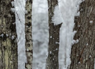 Meredith Duxbury: Unveiling Secrets Behind Her Incredible Success