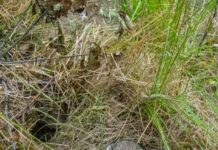 Duxbury Ma Assessor Database: Unlock Hidden Property Insights Today