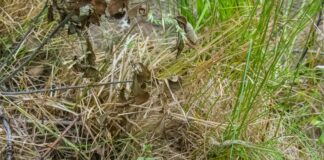 Duxbury Ma Assessor Database: Unlock Hidden Property Insights Today