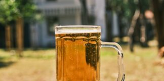 Sun Tavern Duxbury Menu: Discover Irresistible Flavours Today