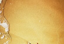 Tide Chart Duxbury: Discover Essential Tips For Perfect Coastal Planning