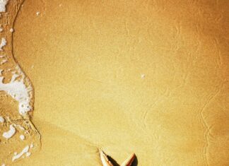 Tide Chart Duxbury: Discover Essential Tips For Perfect Coastal Planning