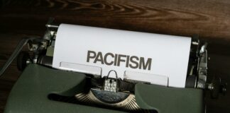 Duxbury Post Office Secrets: Why Locals Trust This Essential Hub