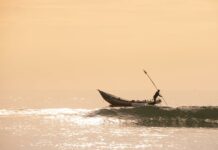 Duxbury MA Lacrosse: Why Is Everyone Talking About This Sport?