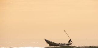 Duxbury MA Lacrosse: Why Is Everyone Talking About This Sport?