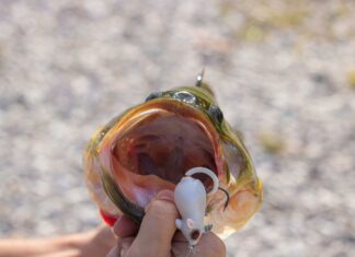 Duxbury Bait And Tackle: Discover Top Tips For Ultimate Fishing Success