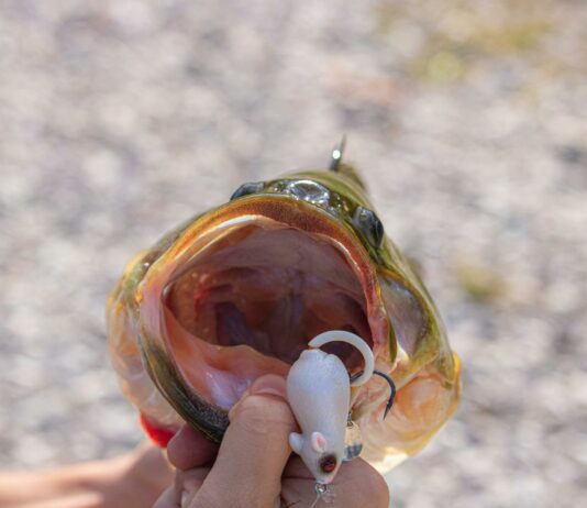 Duxbury Bait And Tackle: Discover Top Tips For Ultimate Fishing Success