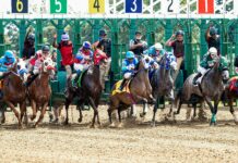 Duxbury Athletics: Unlock Winning Secrets for Peak Performance