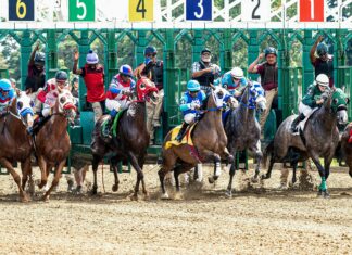 Duxbury Athletics: Unlock Winning Secrets for Peak Performance