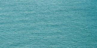 Bayside Marine Corp Duxbury: Discover Exceptional Boat Services Today