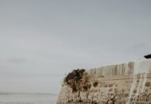 Duxbury MA Tide Schedule: Discover the Secrets to Perfect Timing