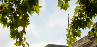 King Caesar House Duxbury: Discover The Secrets Of This Iconic Landmark