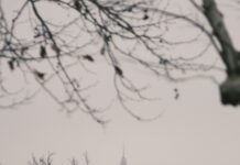 Town Duxbury MA: Discover Hidden Gems and Must-See Attractions