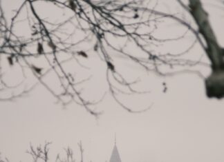 Town Duxbury MA: Discover Hidden Gems and Must-See Attractions