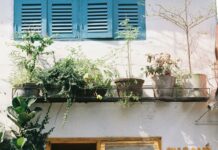 Cafe Viola Duxbury Ma: Discover The Charming Local Gem You’ll Love