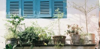 Cafe Viola Duxbury Ma: Discover The Charming Local Gem You’ll Love