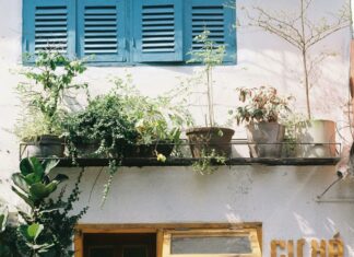 Cafe Viola Duxbury Ma: Discover The Charming Local Gem You’ll Love