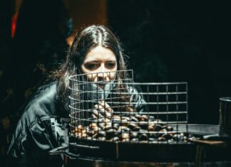 Chestnut Street Grille Duxbury: Discover Why Locals Love It!