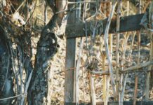Village Duxbury Massachusetts: Discover Hidden Gems and Local Secrets