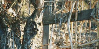 Village At Duxbury Duxbury MA: Discover Hidden Gems and Local Secrets