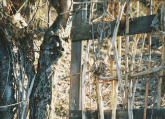 Village At Duxbury Duxbury MA: Discover Hidden Gems and Local Secrets