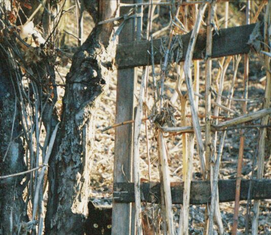 Village At Duxbury Duxbury MA: Discover Hidden Gems and Local Secrets