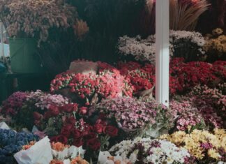 Florist Duxbury MA: Discover Stunning Blooms to Brighten Your Day