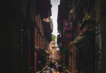 Duxbury Road Secrets Revealed: Why Locals Love This Hidden Gem