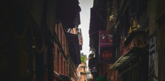 Duxbury Road Secrets Revealed: Why Locals Love This Hidden Gem