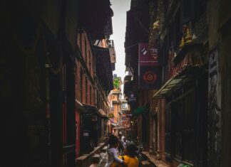 Duxbury Road Secrets Revealed: Why Locals Love This Hidden Gem