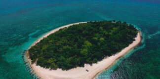 Duxbury Reef Ca: Discover Stunning Coastal Beauty and Wildlife Wonders