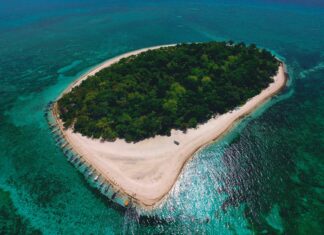 Duxbury Reef Ca: Discover Stunning Coastal Beauty and Wildlife Wonders