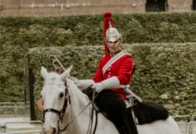 King Caesar Road Duxbury MA: Discover Hidden Gems and History